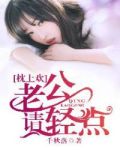 枕上婚,老公请轻点