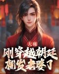 大雍：刚穿越朝廷就发老婆了