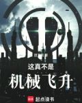 这真不是机械飞升百科