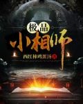 极品风水师TXT完本小说下载