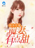 帝少专宠前妻有点甜下载