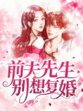 陆先生每天都想复婚阮溪