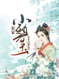 小说,小家碧玉