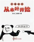 打破封印从木叶开始