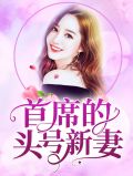小说傅首席的宝贝小甜妻