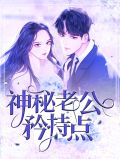 神秘老公暖妻上瘾 小说