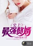 史上最佳赘婿