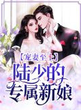 宠妻至上：陆少的专属新娘莫依楠